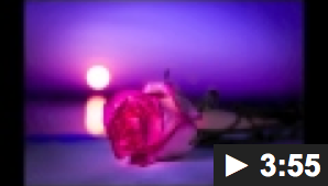 YOUTUBE: ›#4 Cantaré‹